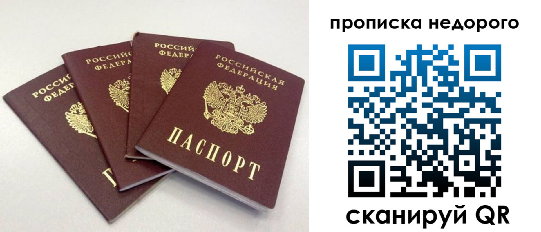 прописка законно в Московской области
