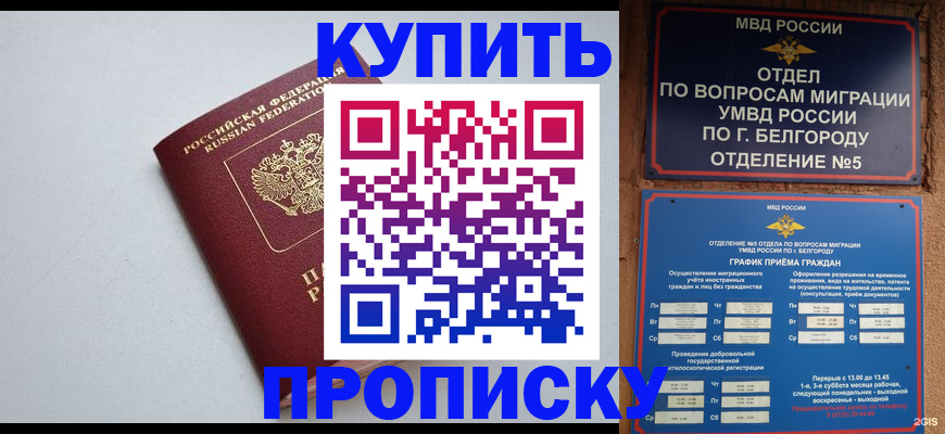 прописка регистрация в Московской области